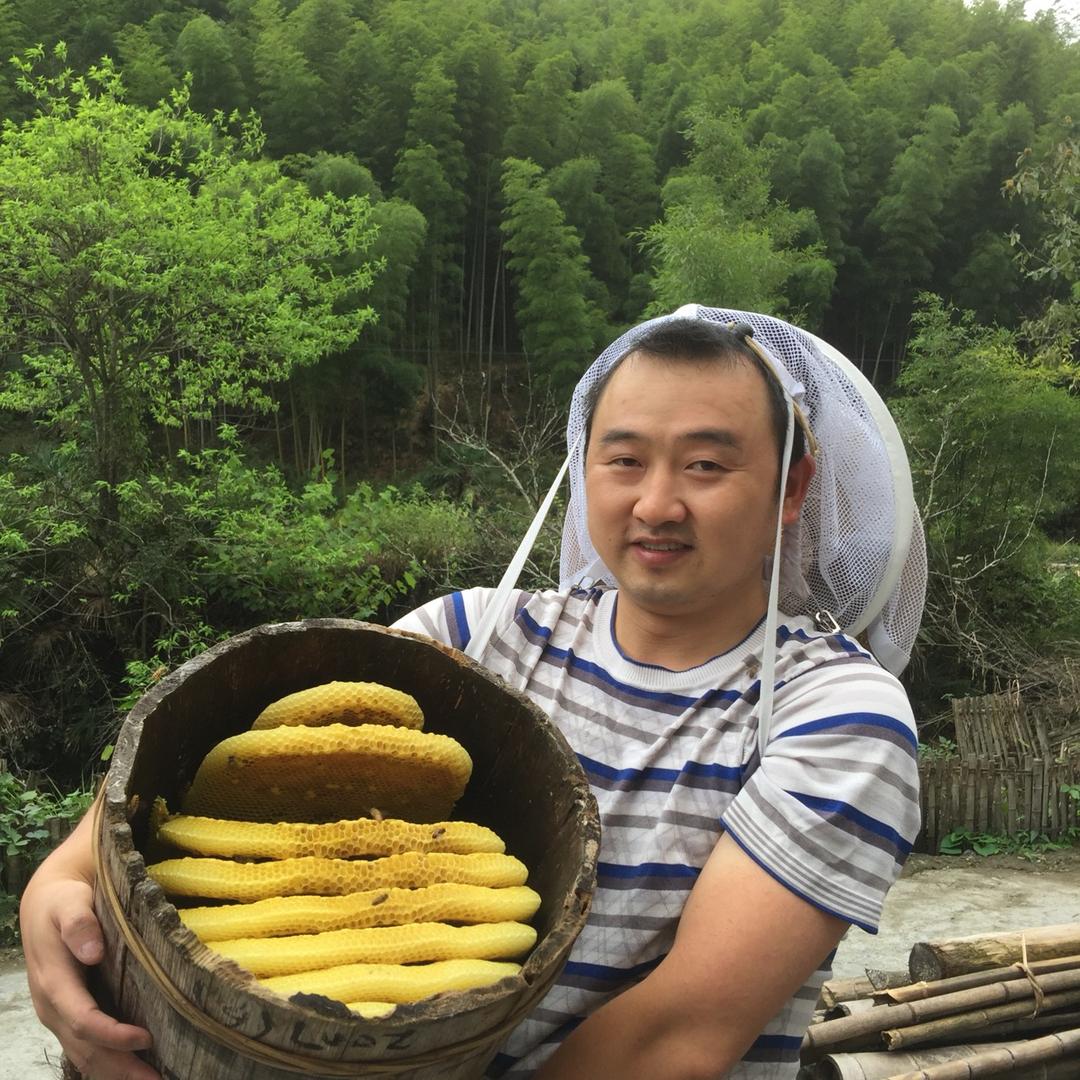 蜂子