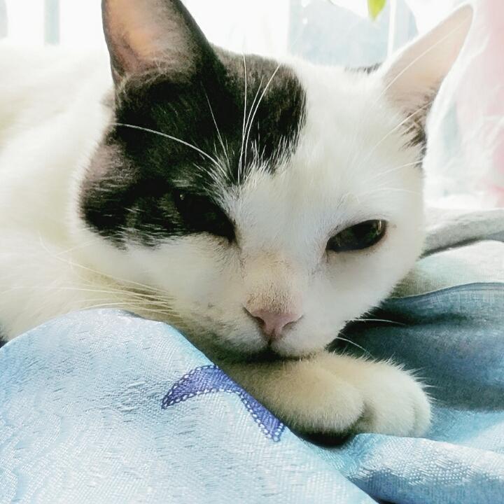 周不二