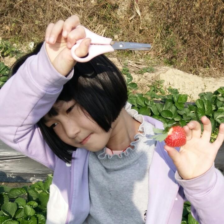 顾，工程塑料