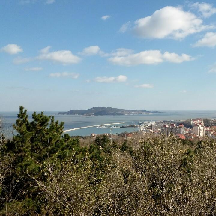 伟伟