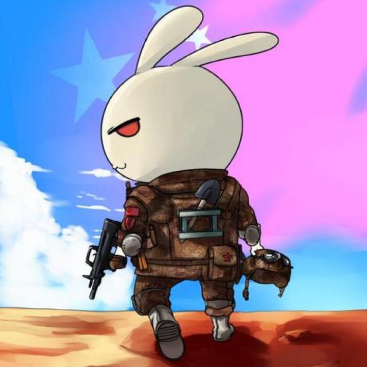 阳光大天使¹
