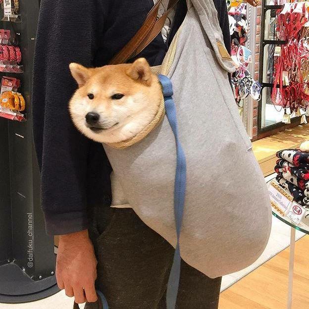 快乐星球的小王.子