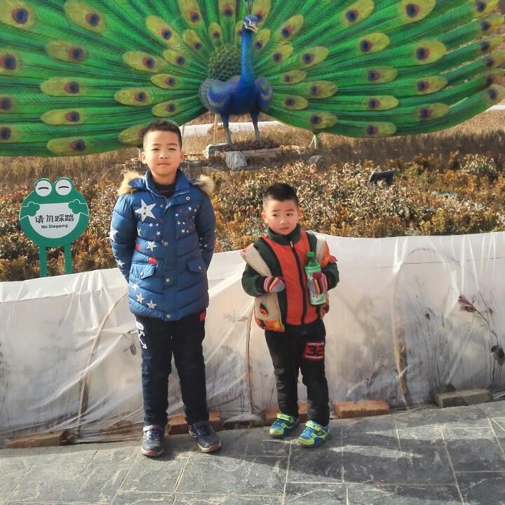 珍珍