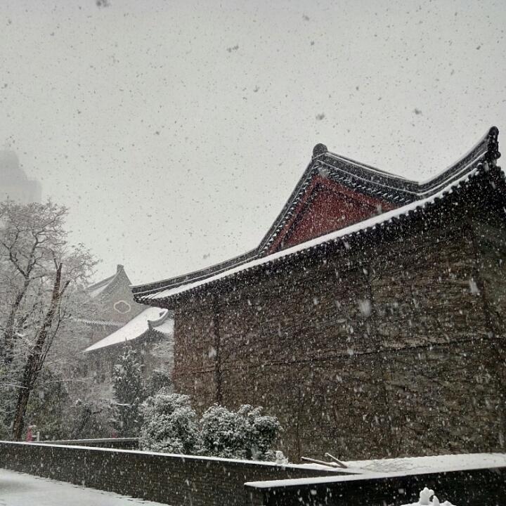 星马豪