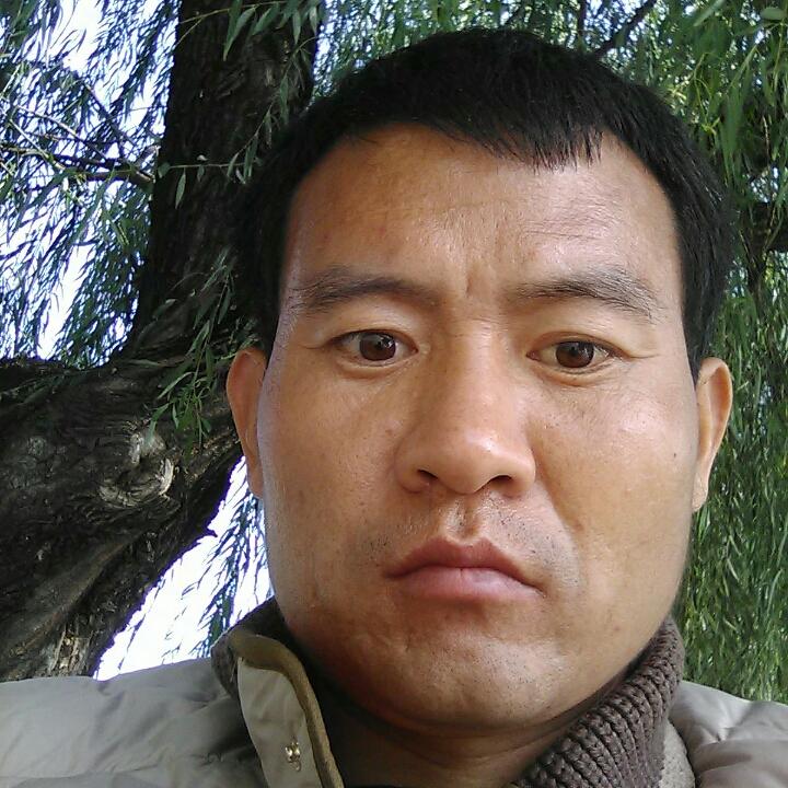 轮椅陪我走天下