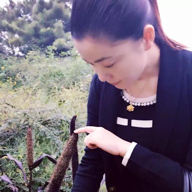 红梅