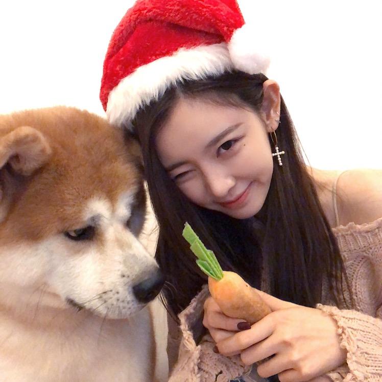 慧儿