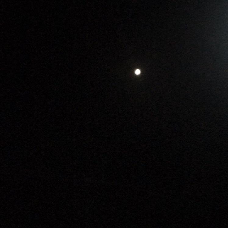 东风夜