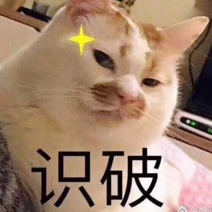 柚子挤地铁