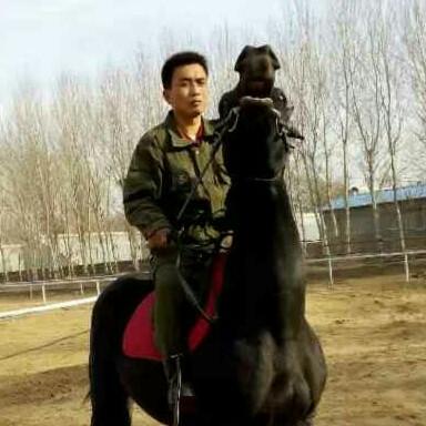 骑点马术俱乐部