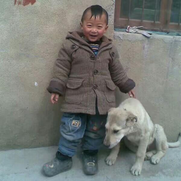 泰雯🌴宝宝🍁🌴