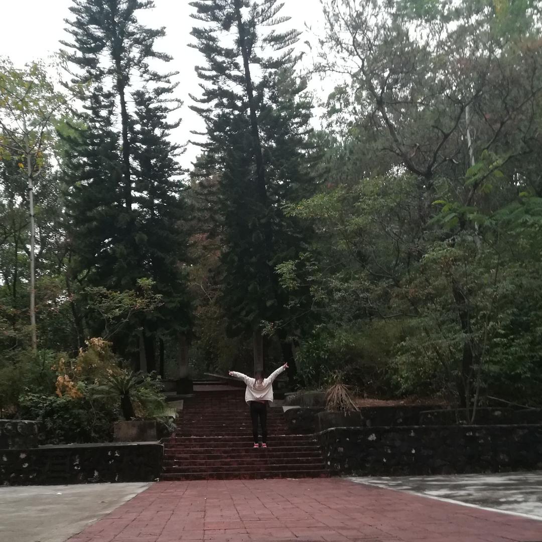 🍀