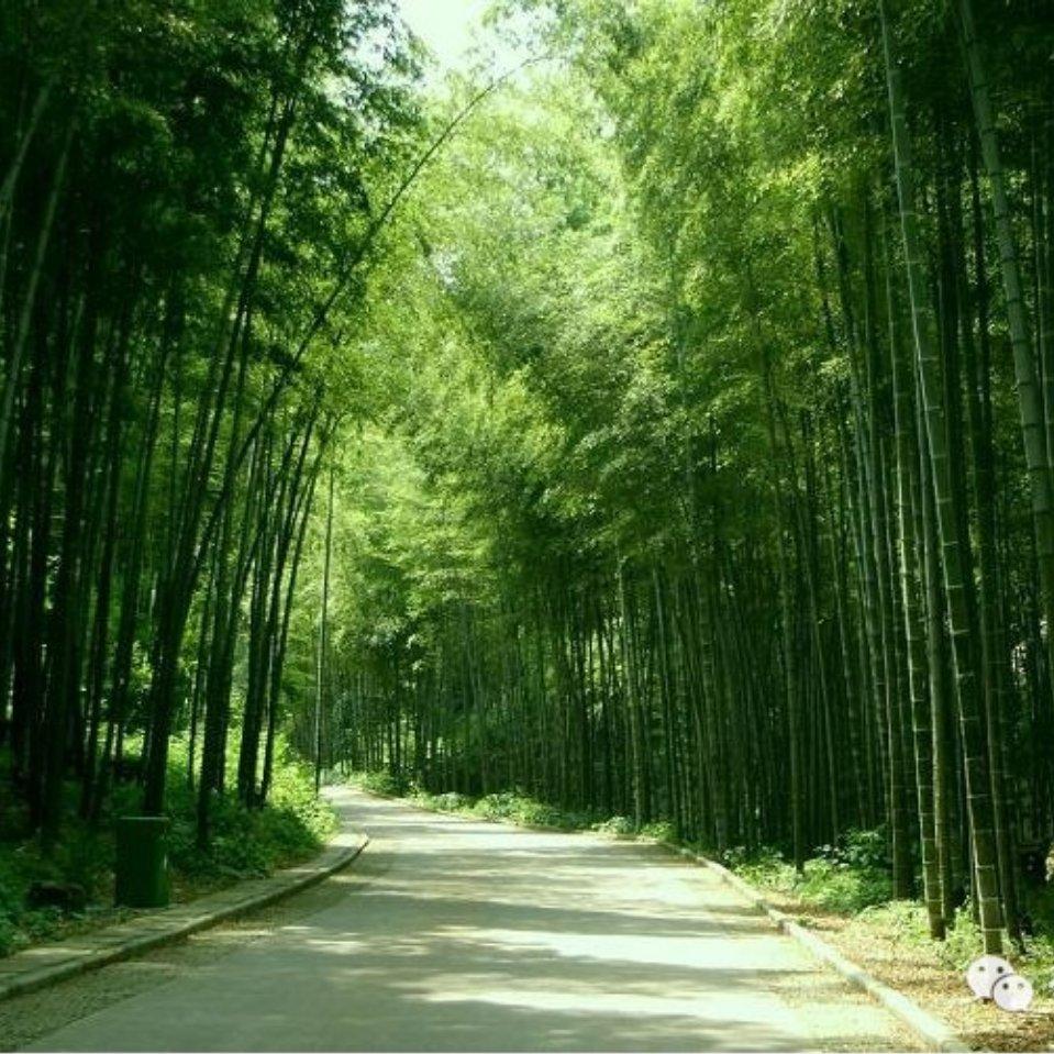 博雄（路）