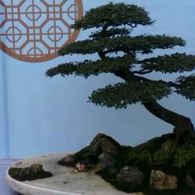 春雨瀟瀟。