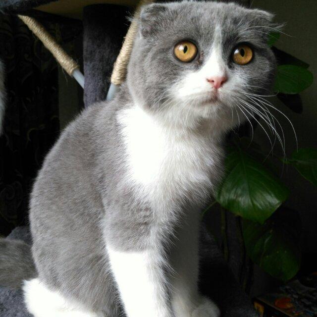 花妞❤️