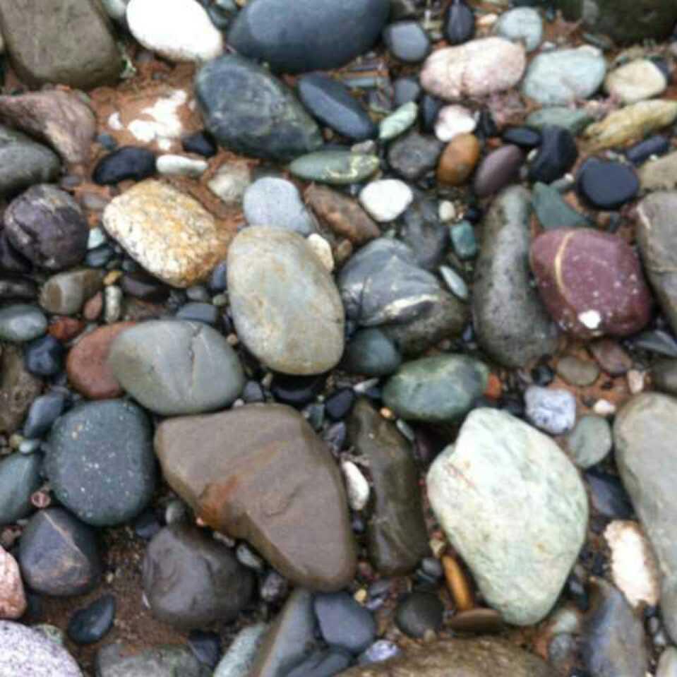 陈