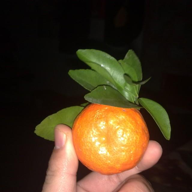 附耳倾听