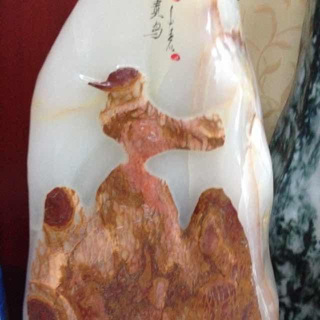 珍凤