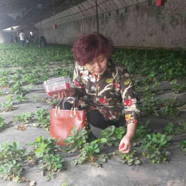 大帅哥