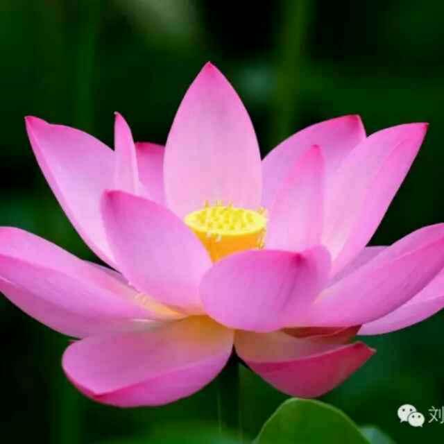 冬去春来
