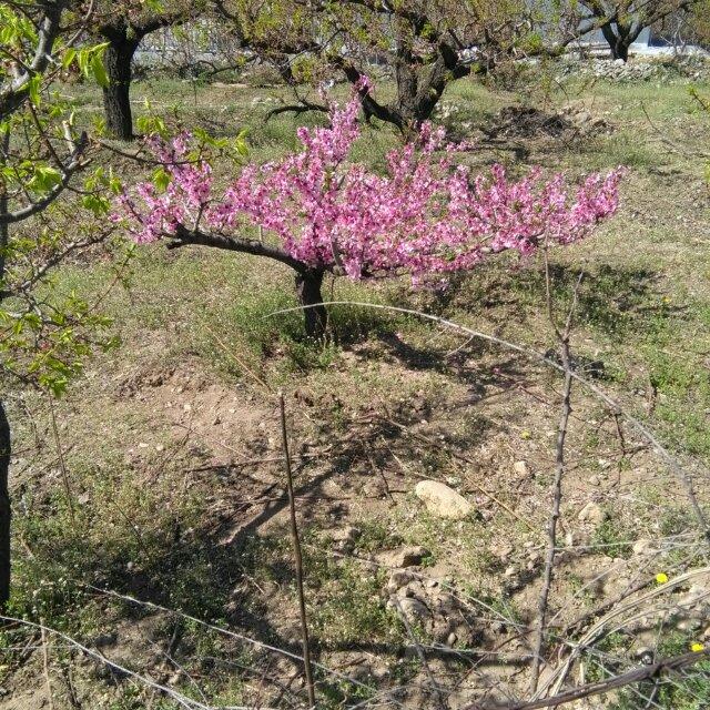 窦汉祥