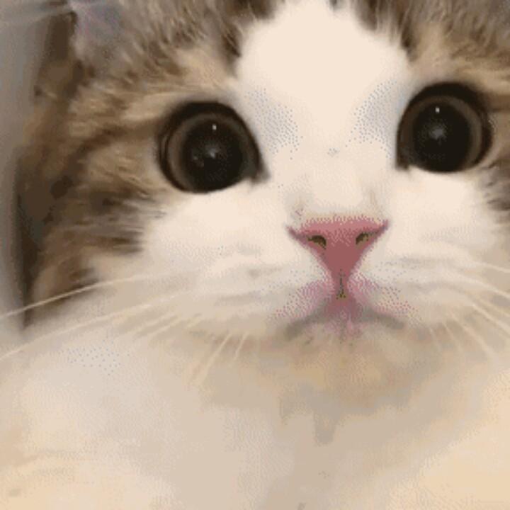 做个自己