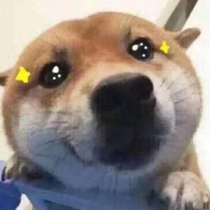 小银短剧