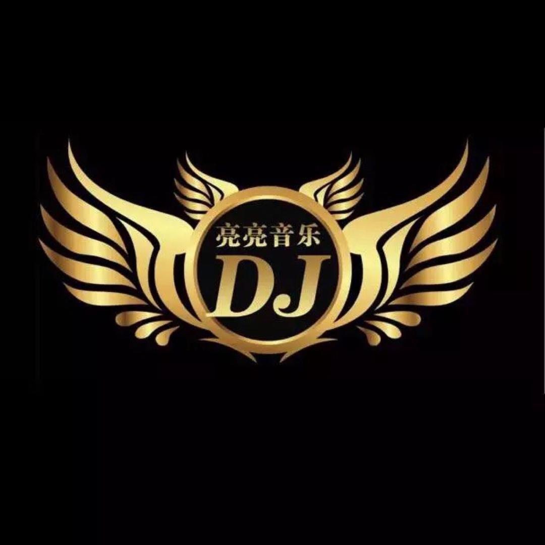 亮亮音乐DJ