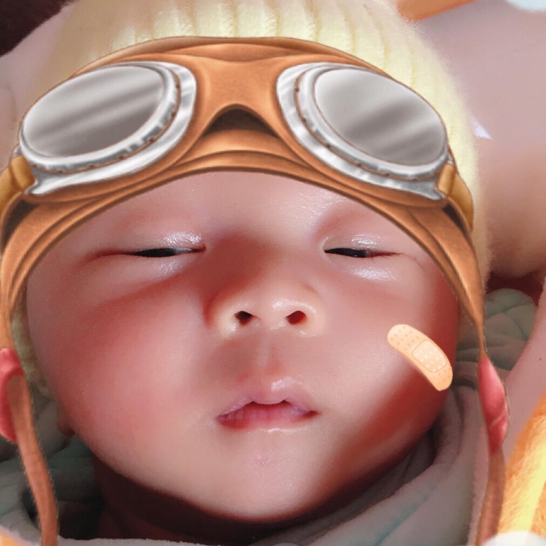 十一