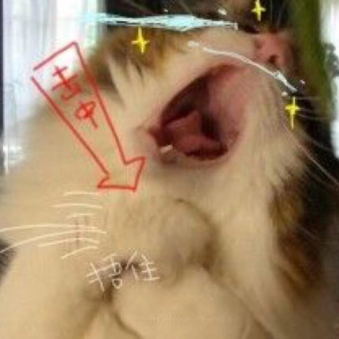 可爱本爱