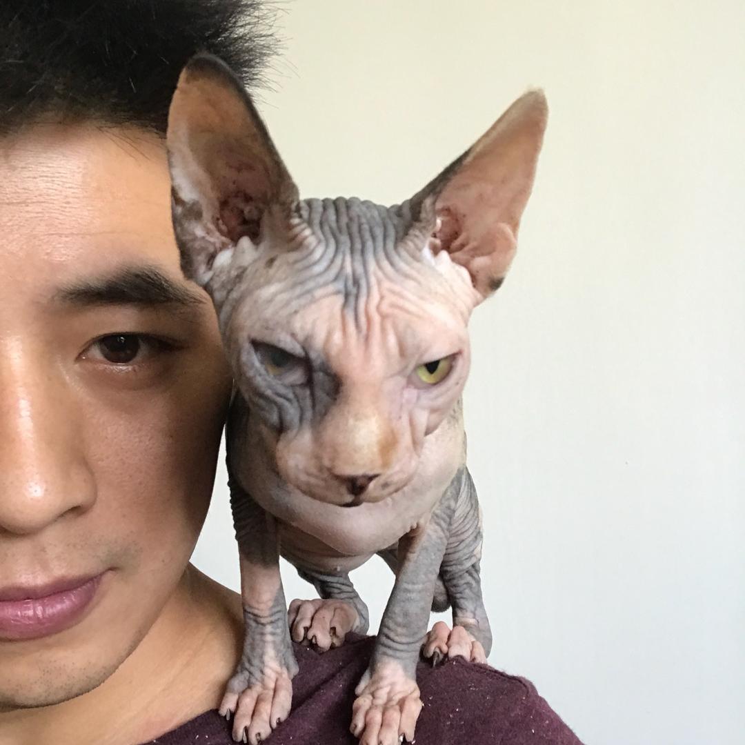 一支穿云箭