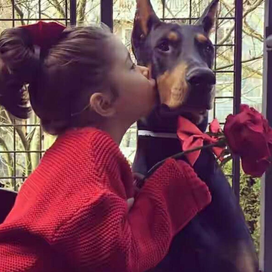 妞妞仔的美好生活