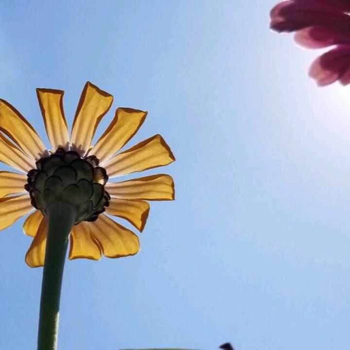 眼睛
