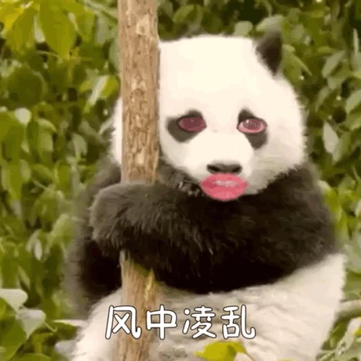 小可爱