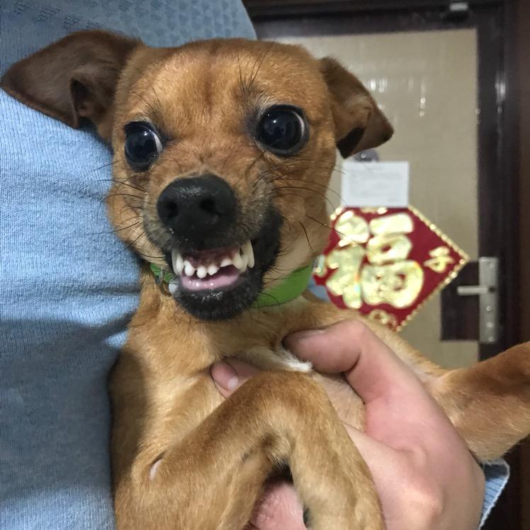 翮ZZ❤️