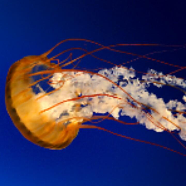 飓风战魂