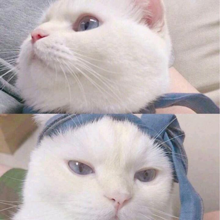 彤彤