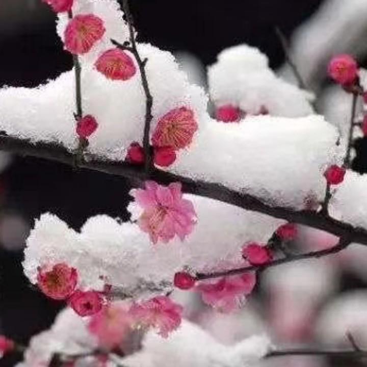 钰钰