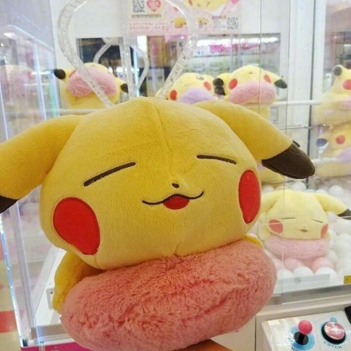 荷包陈甸甸