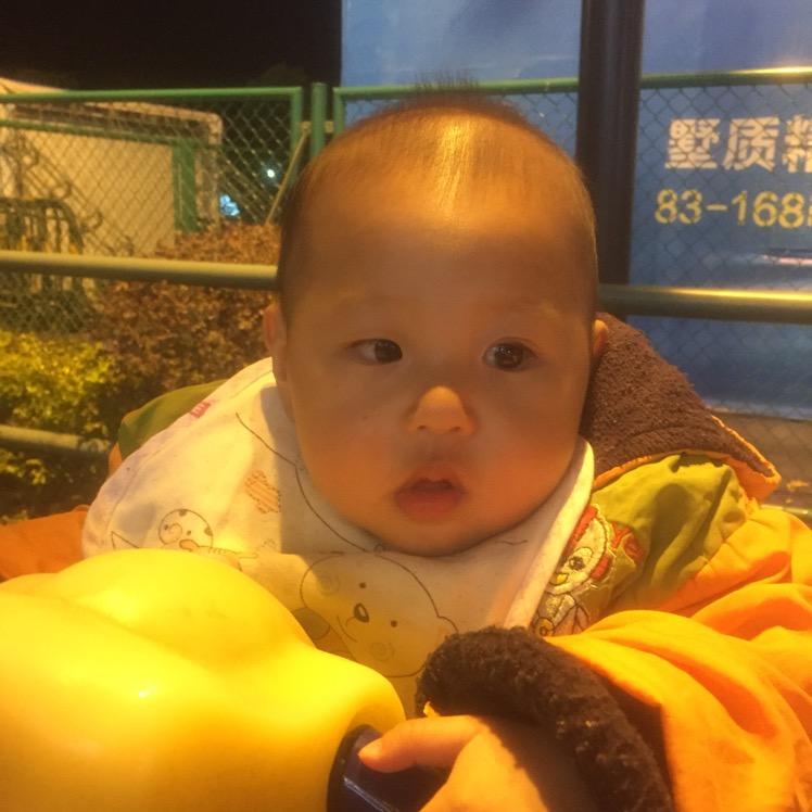 龙哥