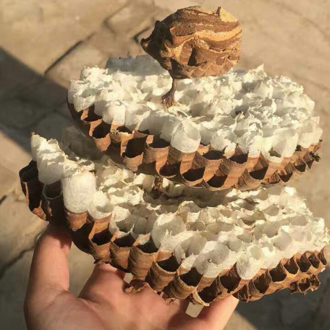 泥雅欣。互动