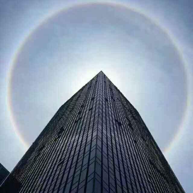 放飞自我