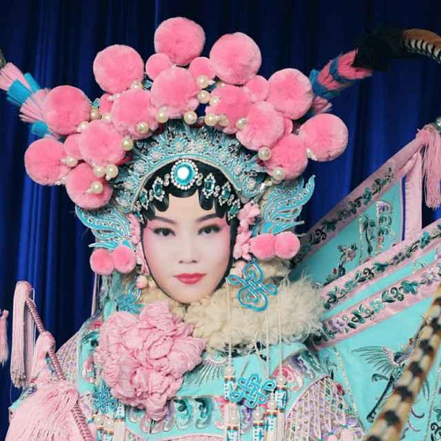 菊菊