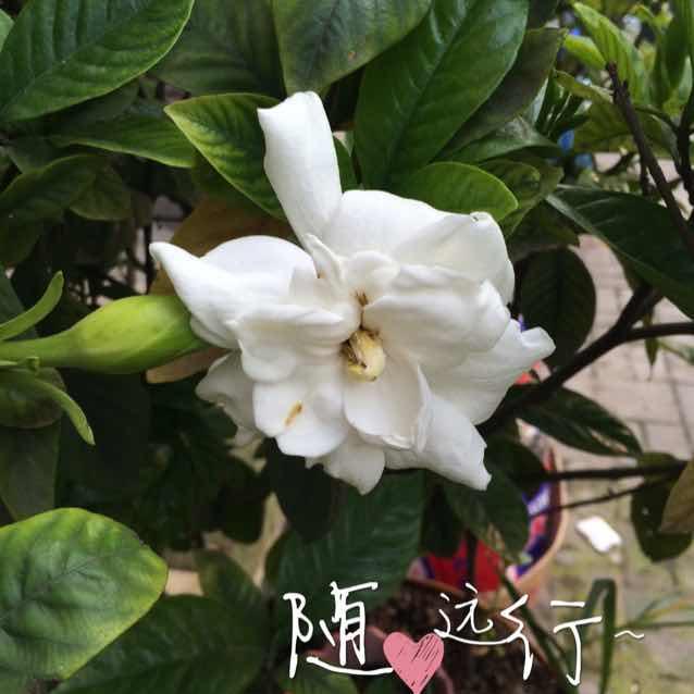 电动车销售维修