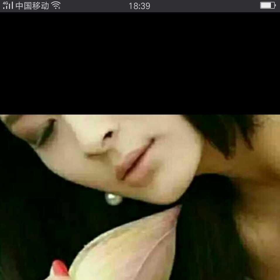 枯叶碟