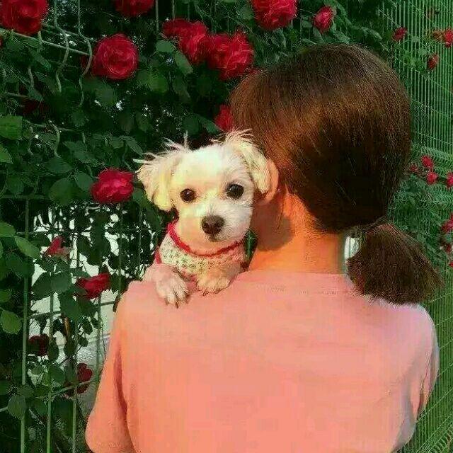 通辽人在天津～～