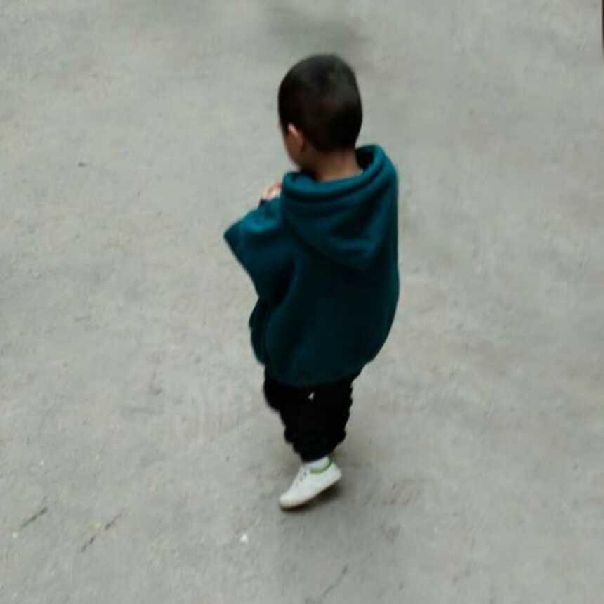 绿色曼陀罗354
