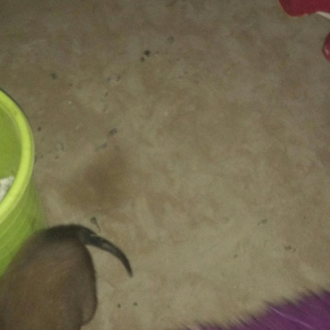 幸福的约定_1818