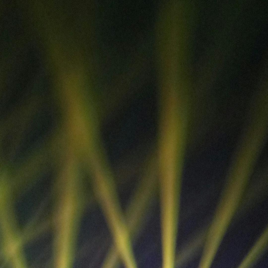 心净入水