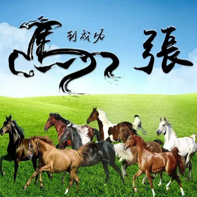 繁星望月